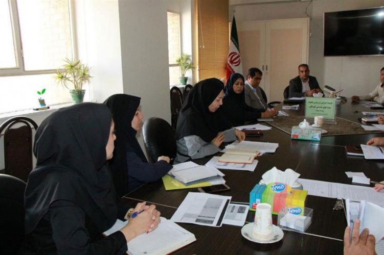 گزارش  کمیته اجرایی پایلوت بسته های خدمتی بازنگری شده سلامت کودکان