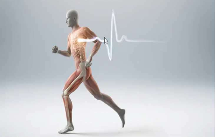 نقش ورزش در پیشگیری از ابتلا به پوکی استخوان