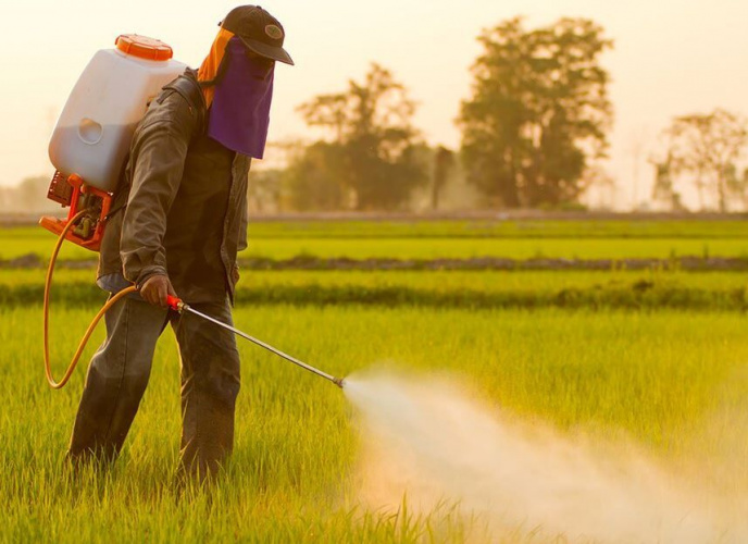 اعلام فهرست به روز شده حشره کش های مجاز کشور ۱۴۰۴